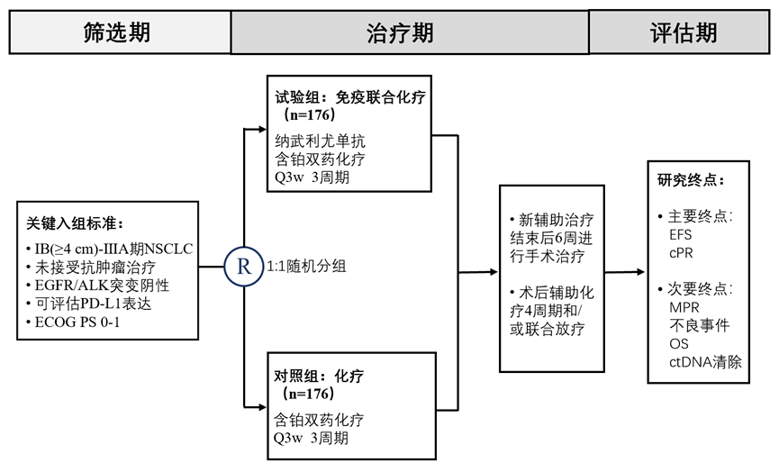 最新化疗方案｜前沿化疗策略