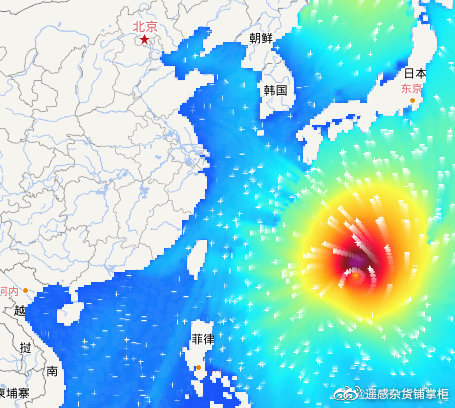 海神台风行进轨迹新动态，安全守护，风雨同舟！