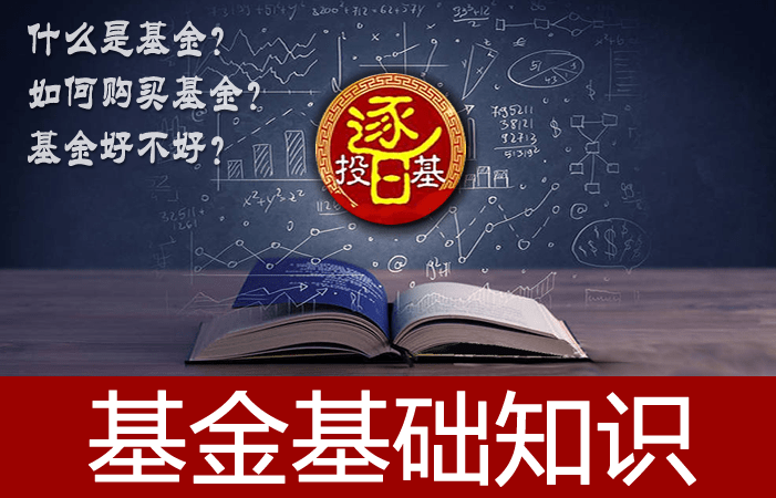 追踪实时动态：100039基金最新一期净值揭秘