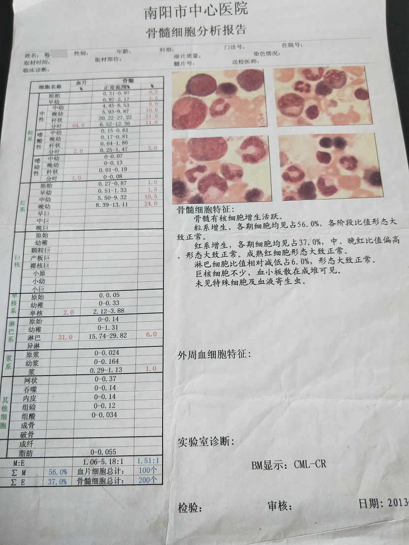 慢性粒细胞白血病吧最新资讯速递